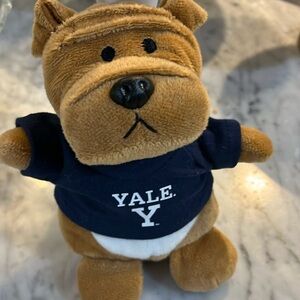 Chelsea teddy bear Yale mascot